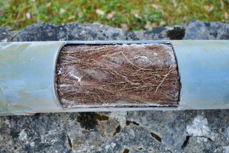 How Do You Fix Tree Roots In A Sewer Line?